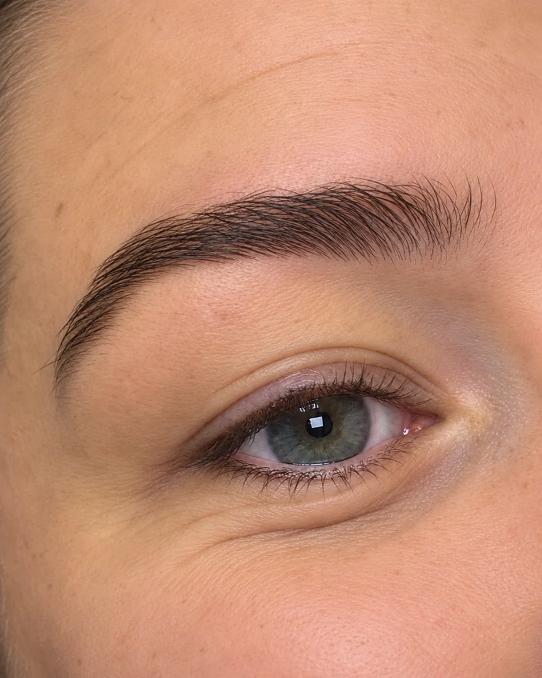 Illustrative image (digitally enhanced): brows after brow lamination