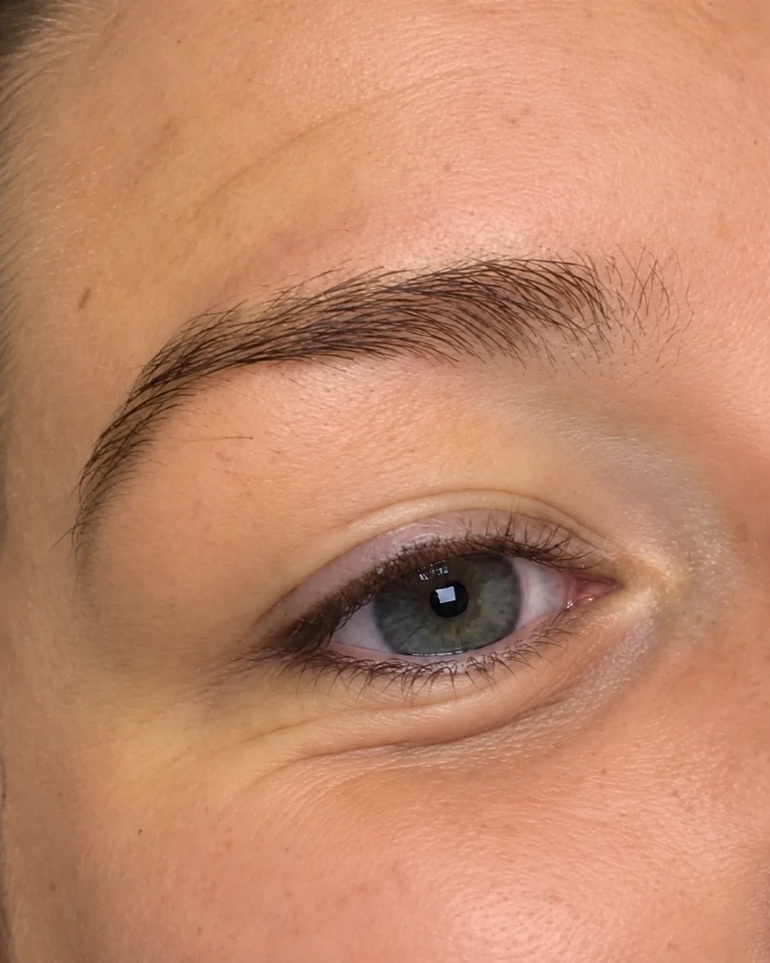 Illustrative image (digitally enhanced): brows before brow lamination