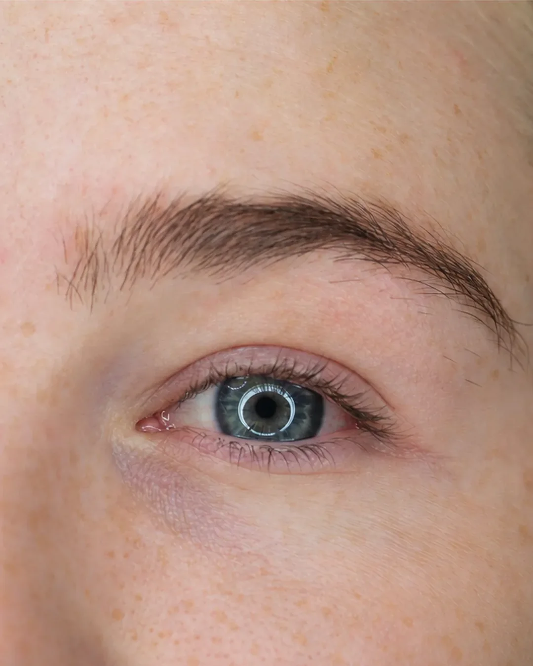 Client&rsquo;s brow and lashes, before treatment