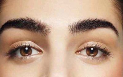 Facts about your eyebrows