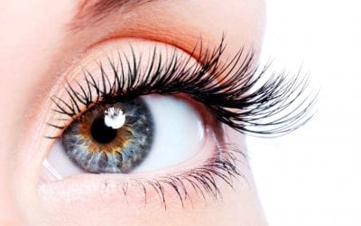Random facts about eyelashes