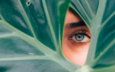 Celebrities Browformations